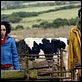Isolation : photo Billy O'Brien, John Lynch, Ruth Negga