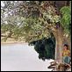 Lili et le baobab : photo Chantal Richard, Romane Bohringer