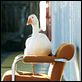 The Secret life of words : photo Isabel Coixet