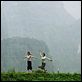 Les Filles du botaniste : photo Dai Sijie, Li Xiaoran, Mylène Jampanoï