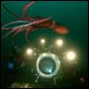 Deep Sea dansons sous la mer : photo Howard Hall