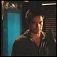 Bug : photo Michael Shannon (II), William Friedkin