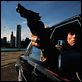 Le Contrat : photo Arnold Schwarzenegger, John Irvin