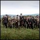 Le Vent se lève : photo Ken Loach
