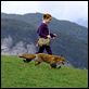 Le Renard et l'enfant : photo Bertille Noël-Bruneau, Luc Jacquet