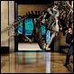 La Nuit au musée : photo Ben Stiller, Shawn Levy