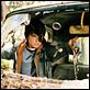 Le Secret de Terabithia