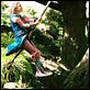 Le Secret de Terabithia
