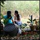 Syndromes and a Century : photo Apichatpong Weerasethakul