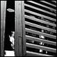 L'Eclipse : photo Alain Delon, Michelangelo Antonioni, Monica Vitti