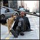 Je suis une légende : photo Francis Lawrence, Will Smith