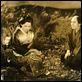 Les Amants crucifiés : photo Kenji Mizoguchi