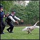 Hot Fuzz : photo Edgar Wright