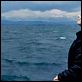 Les Petites Vacances : photo Bernadette Lafont, Olivier Peyon