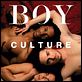 Boy Culture : affiche Darryl Stephens, Derek Magyar, Jonathon Trent, Q. Allan Brocka
