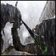 Aliens vs. Predator - Requiem : photo Colin Strause, Greg Strause