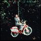 Pee Wee Big Adventure : photo Paul Reubens, Tim Burton