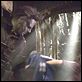 Halloween : photo Rob Zombie