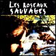 Les Roseaux sauvages : affiche André Téchiné