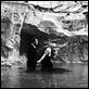 La Dolce Vita : photo Anita Ekberg, Federico Fellini, Marcello Mastroianni