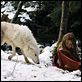 [HF] [DVDRiP] Survivre avec les loups