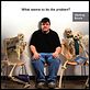Sicko : affiche Michael Moore