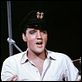 Des Filles, encore des filles! : photo Elvis Presley, Norman Taurog