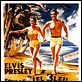 Sous le ciel bleu de Hawaii : affiche Elvis Presley, Norman Taurog