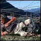 La Grande évasion : photo John Sturges, Steve McQueen
