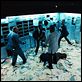 Le Dernier gang : photo Ariel Zeitoun
