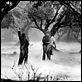 Le Loup-Garou : photo Claude Rains, George Waggner, Lon Chaney Jr.