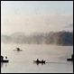 Photo Christophe L - FILM - L'Ile : 34022