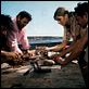 Les Aventuriers : photo Alain Delon, Lino Ventura, Robert Enrico