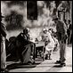 Amere Victoire : photo Nicholas Ray
