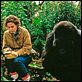 Gorilles dans la brume : photo Michael Apted, Sigourney Weaver