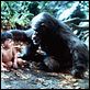 Greystoke, la légende de Tarzan : photo Hugh Hudson
