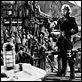 Capitaine Blood : photo Errol Flynn, Michael Curtiz