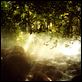 Vinyan : photo Fabrice Du Welz