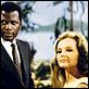 Devine qui vient dîner... : photo Katharine Houghton, Sidney Poitier, Stanley Kramer