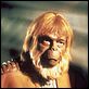 Le Secret de la planète des singes : photo Maurice Evans, Ted Post
