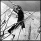 Moby Dick : photo Gregory Peck, John Huston