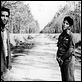 Down by Law : photo Jim Jarmusch, John Lurie, Roberto Benigni, Tom Waits