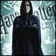 Harry Potter et le Prince de sang mêlé : affiche Alan Rickman, David Yates