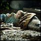 [MU]  Nims Island  [DVD-rip]
