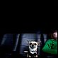 Le Chihuahua de Beverly Hills [DVDRIP]