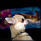 Le Chihuahua de Beverly Hills [DVDRIP]