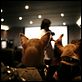 Le Chihuahua de Beverly Hills [DVDRIP]