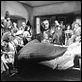 Les Amours enchantées : photo Henry Levin, Laurence Harvey