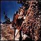 Les Aventures de Robin des Bois : photo Errol Flynn, Michael Curtiz