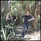 Prison Break : photo Chris Vance, Wentworth Miller, William Fichtner